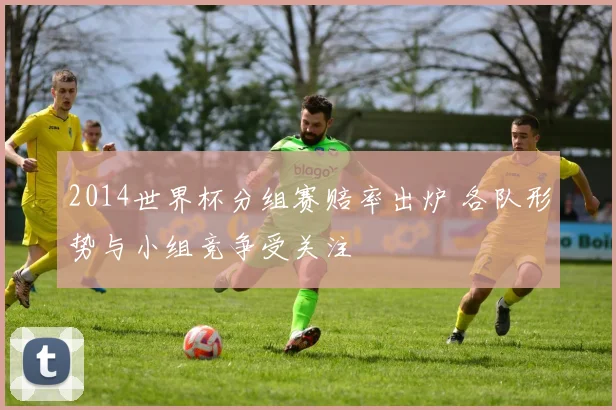 2014世界杯分组赛赔率出炉 各队形势与小组竞争受关注