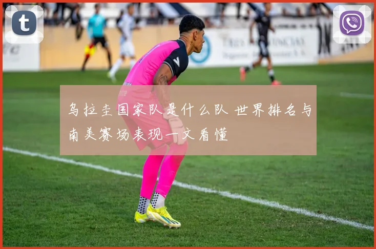 乌拉圭国家队是什么队 世界排名与南美赛场表现一文看懂