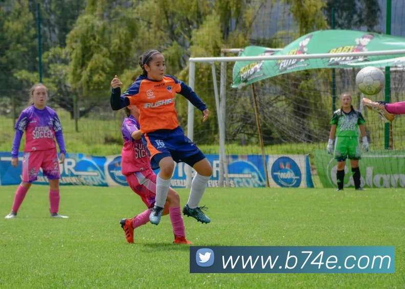 多媒体互动体验